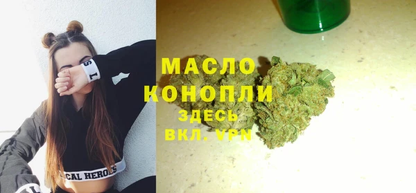 mix Инта