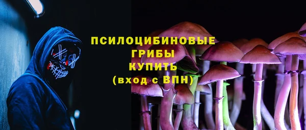 mix Инта