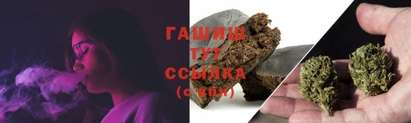 mix Инта