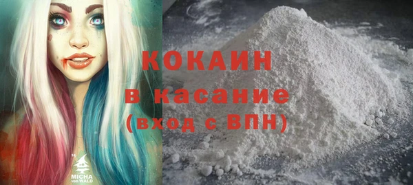 mix Инта
