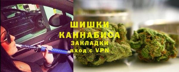 mix Инта